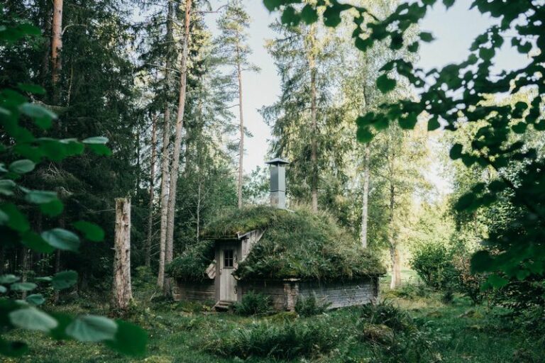 How does ecotourism contribute to environmental conservation in Sweden