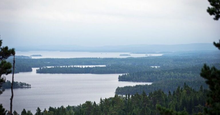 Unraveling the Secrets of Swedens Pristine Lakes