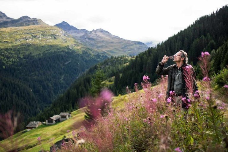 A Breath of Fresh Air Revitalize Your Soul with Hiking in the Swiss Alps