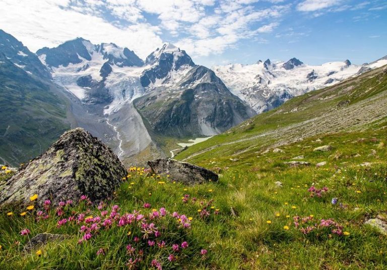 Adventure Awaits Hiking the Swiss Alps Most Challenging Trails
