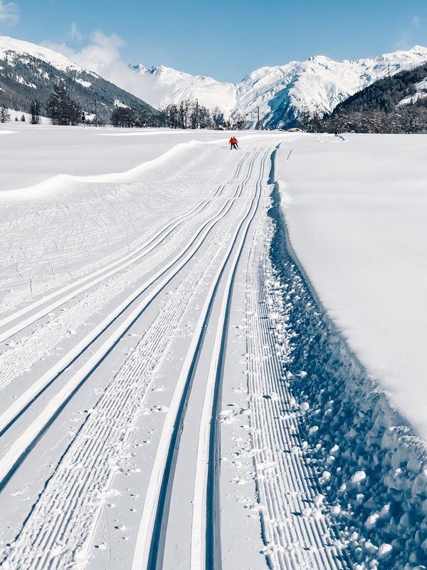 Cross-Country Skiing in Switzerland Discovering the Serene Beauty of the Winter Landscape