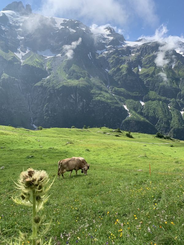 Exploring Switzerlands Off-the-Beaten-Path Mountain Villages Uncovering Hidden Treasures
