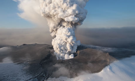 Icelands Volcanic Eden A Haven for Rare and Endangered Species