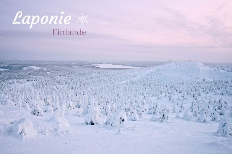 Journey into Finlands Winter Paradise