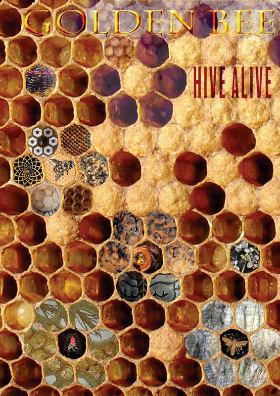 The Fascinating World of Beekeeping Unveiling the Secrets of the Hive