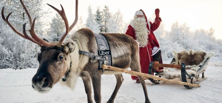 The Festive Magic of Reindeer Encounters in Finlands Lapland