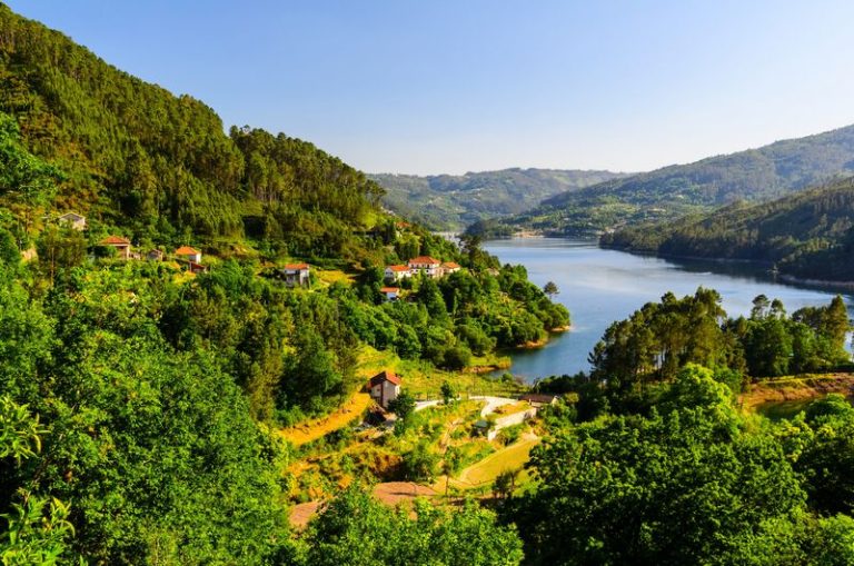 The Hidden Gems of Peneda-Gerês National Park A Guide to Portugals Rich Flora and Fauna