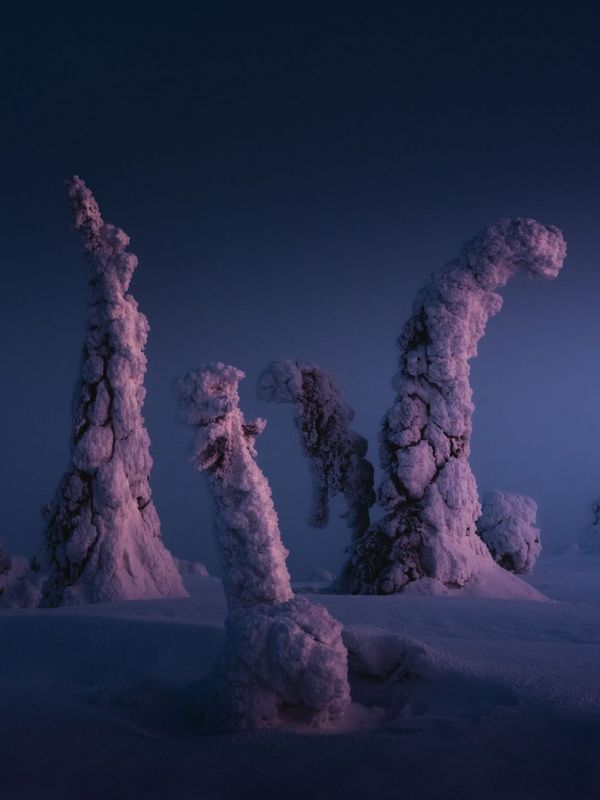Uncovering the Secrets of Finlands Winter Wonderland