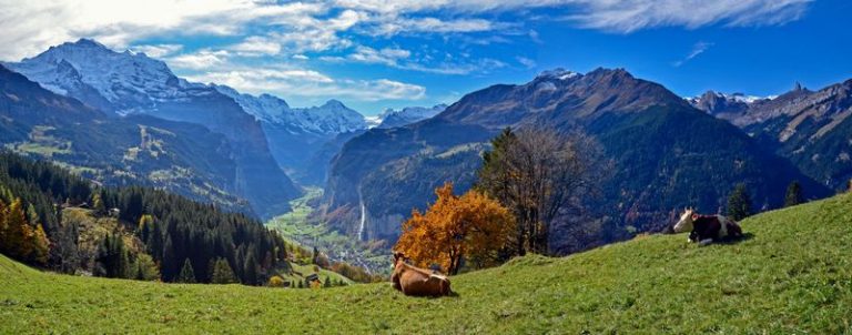 Unveiling Switzerlands Best-Kept Secrets Offbeat Alpine Adventures for Nature Lovers